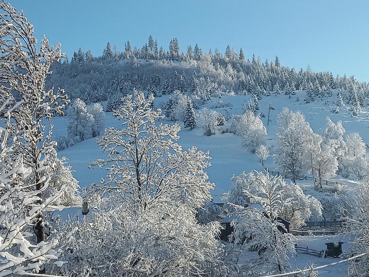 Котедж "Затишний Відпочинок" Huklyvyy Exteriér fotografie